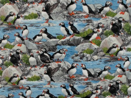 ULTIMATE - Cotton print - Puffins - Blue Hot on Sale