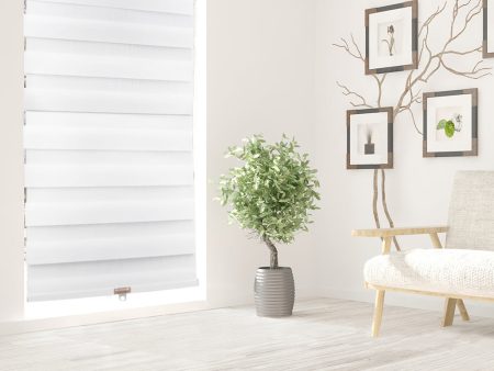 Zebra Cordless Sheer Shade - White - 36 x 84 inch Sale